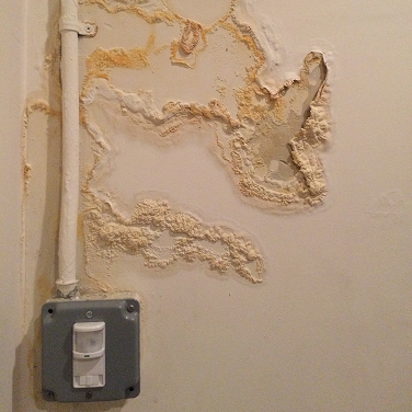 Home Renovation Montana